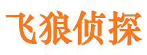 大渡口市调查公司